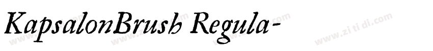 KapsalonBrush Regula字体转换